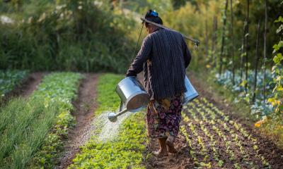 Asian Development Bank