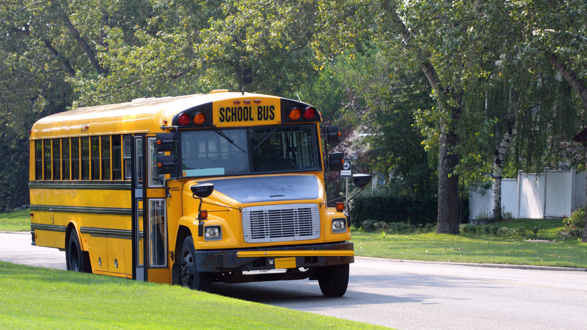 School Bus