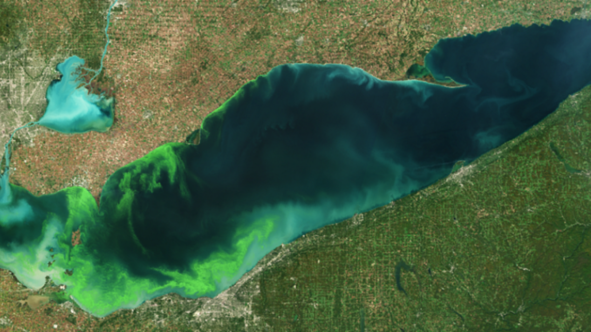 Harmful algal blooms in Lake Erie