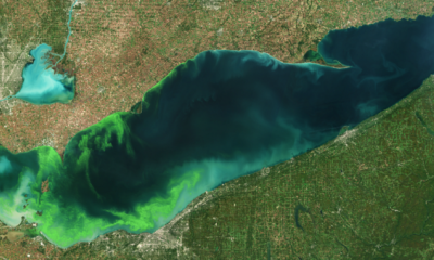 Harmful algal blooms in Lake Erie