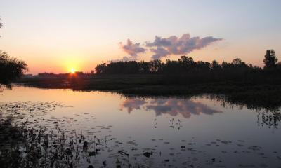 Ottawa National Wildlife refuge